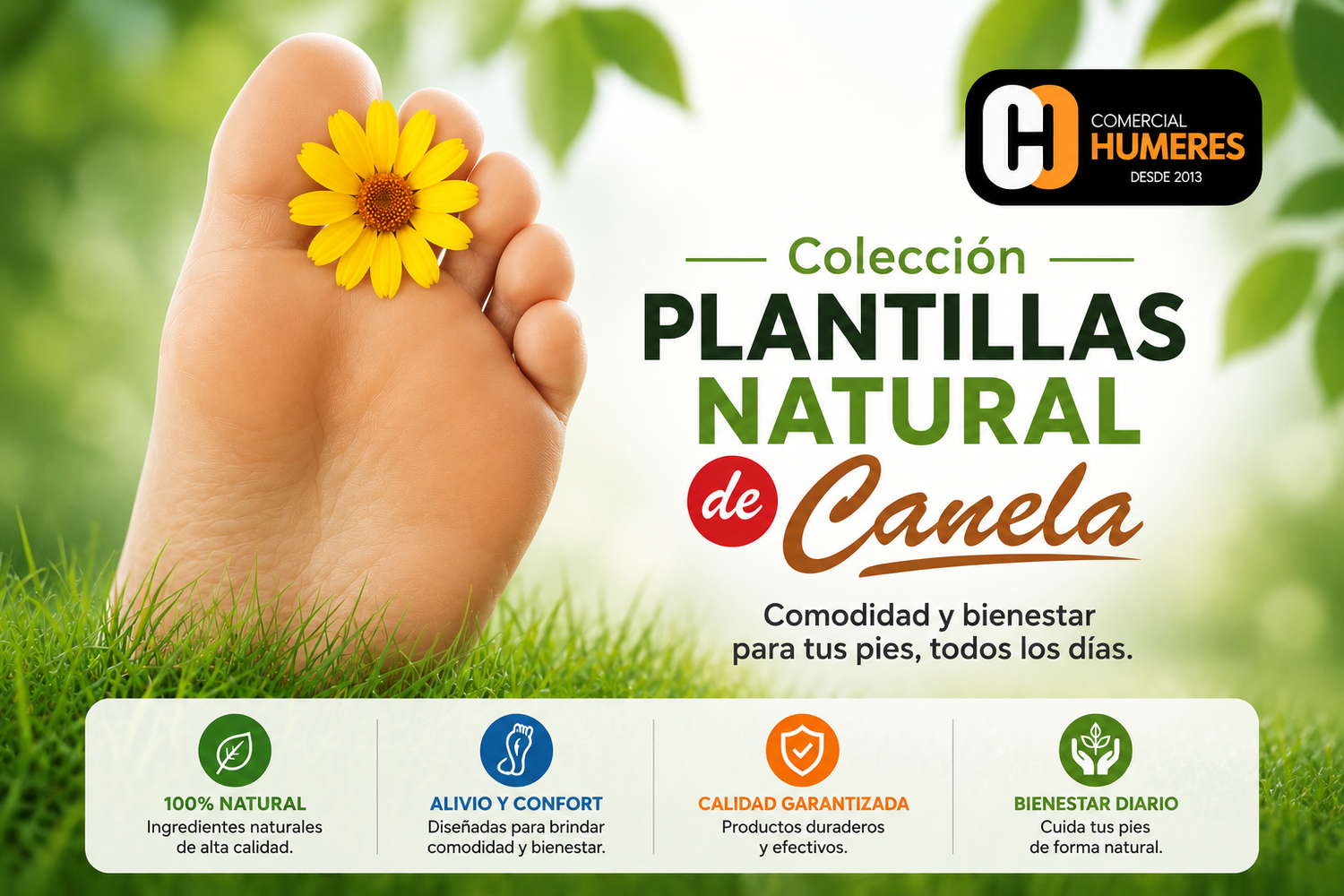 Plantillas de canela