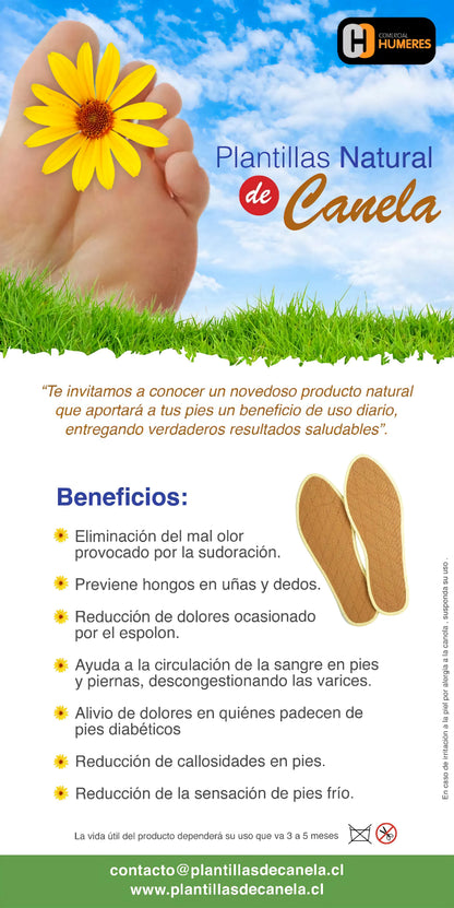 Plantillas de Canela para Calzado | Comodidad y Frescura para tus Pies